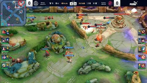 仅限于传统 仅限于传统