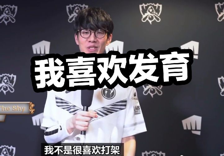录片